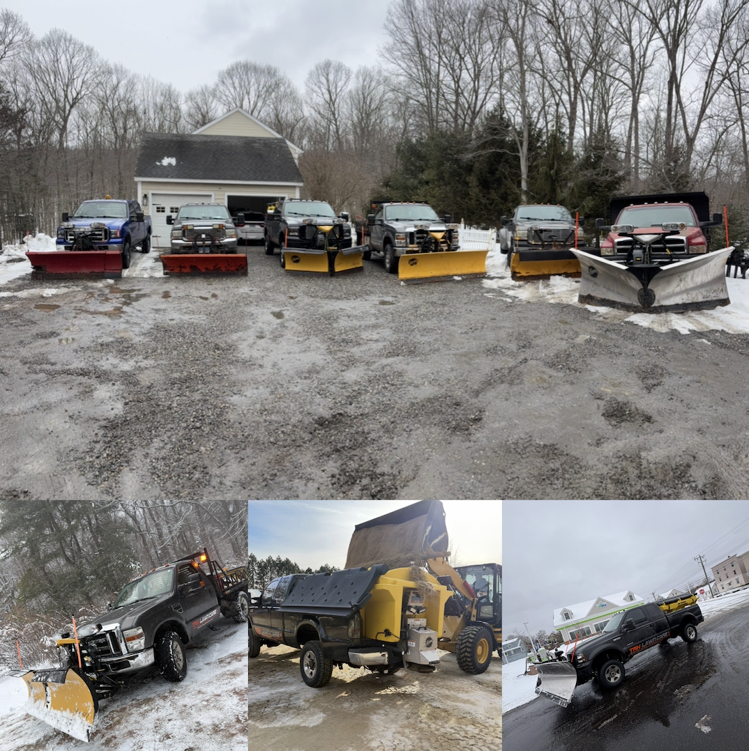 Screenshot 2026-03-11 at 10.57.11 AM